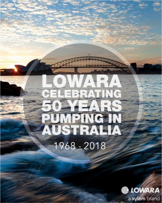 Pumping Solutions from Lowara